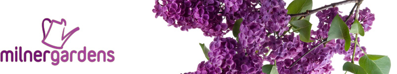 Milner Gardens is a quality garden centre and decor boutique in Milner, BC, bringing locally grown flowers to our consumers for the best prices, it is located at 6690 216th Street in Langley